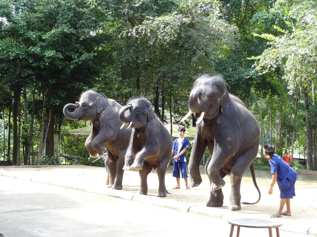 Namuang Safari Park
