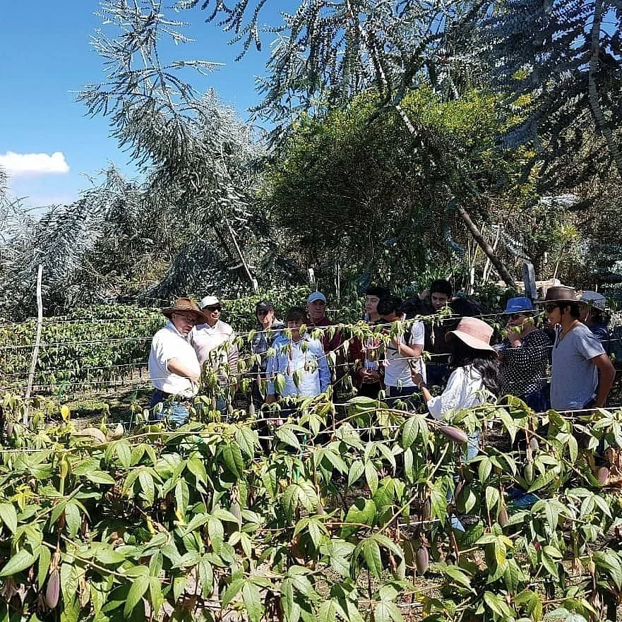 Hacienda La Jesus