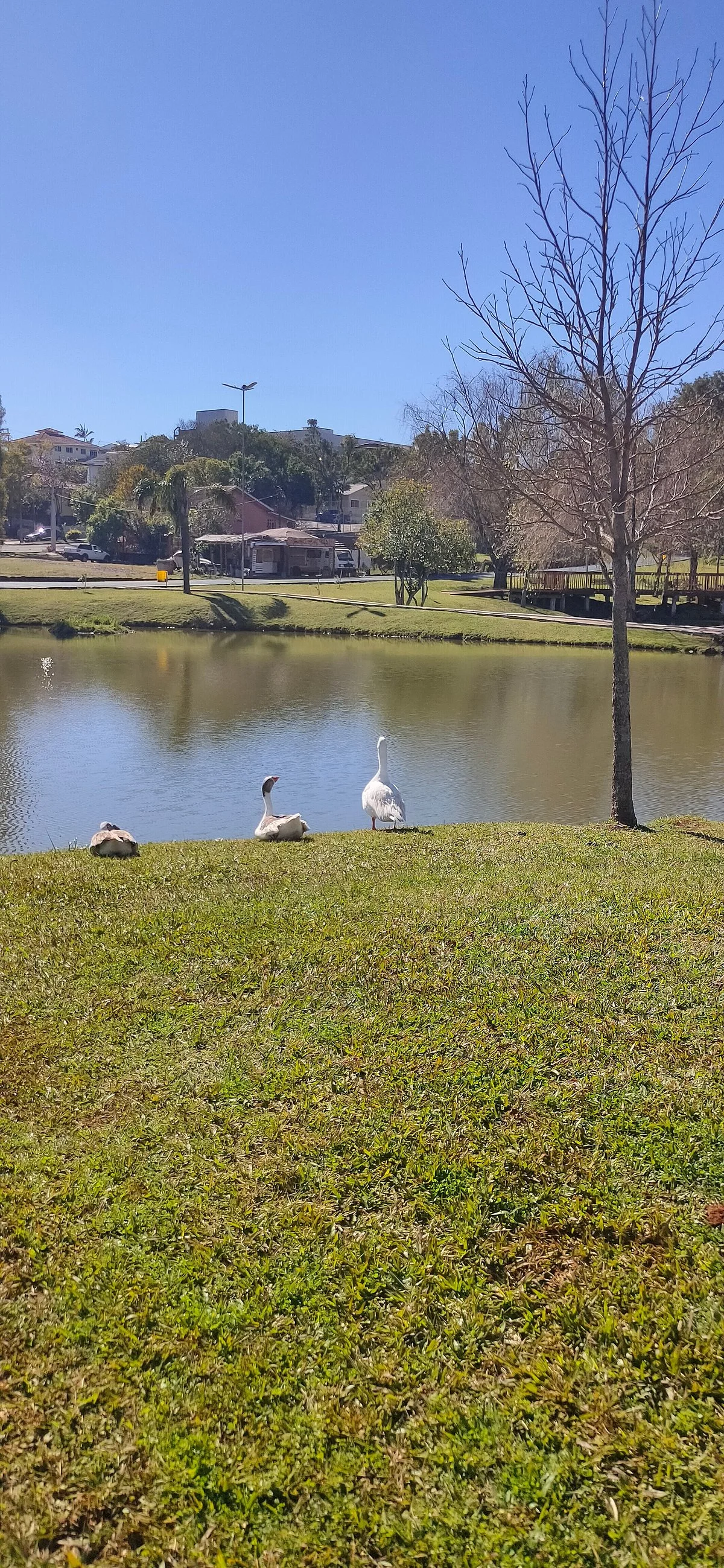Praca do Lago