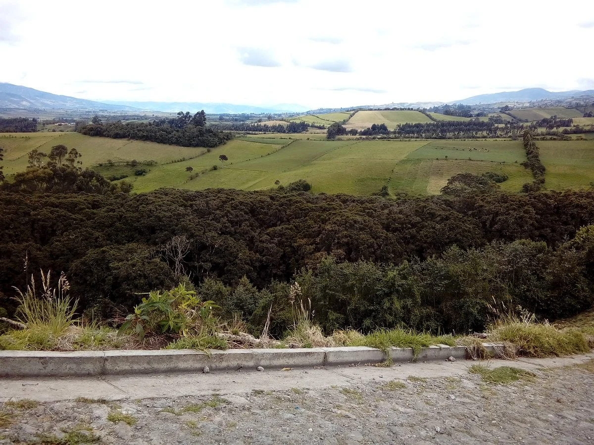 Bosque de los Arrayanes