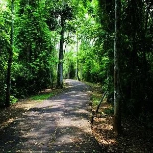 Amapa Beach