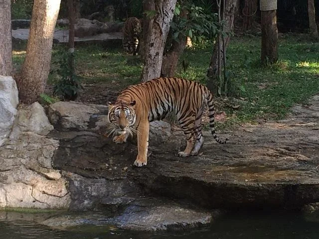 Ubon Zoo