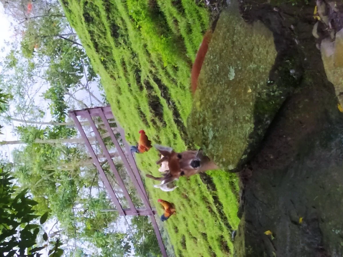 Zoologico Santacruz