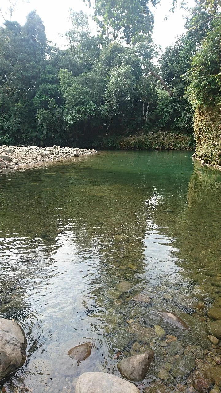 Pozo El Clavel