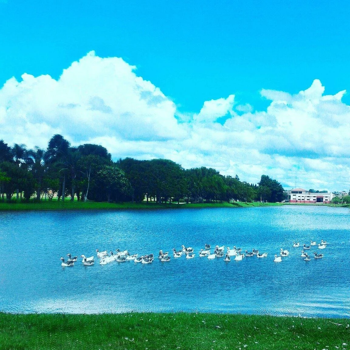 Parque Lacustre