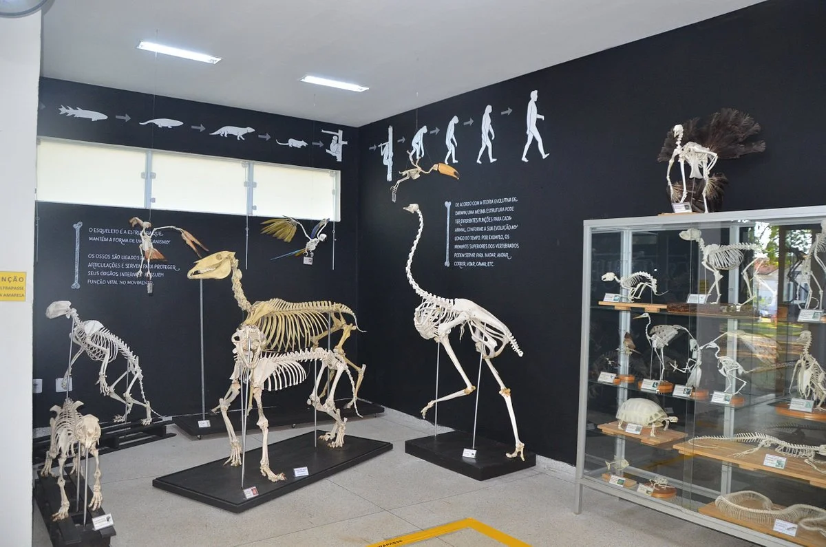 Museu de Historia Natural de Itapira