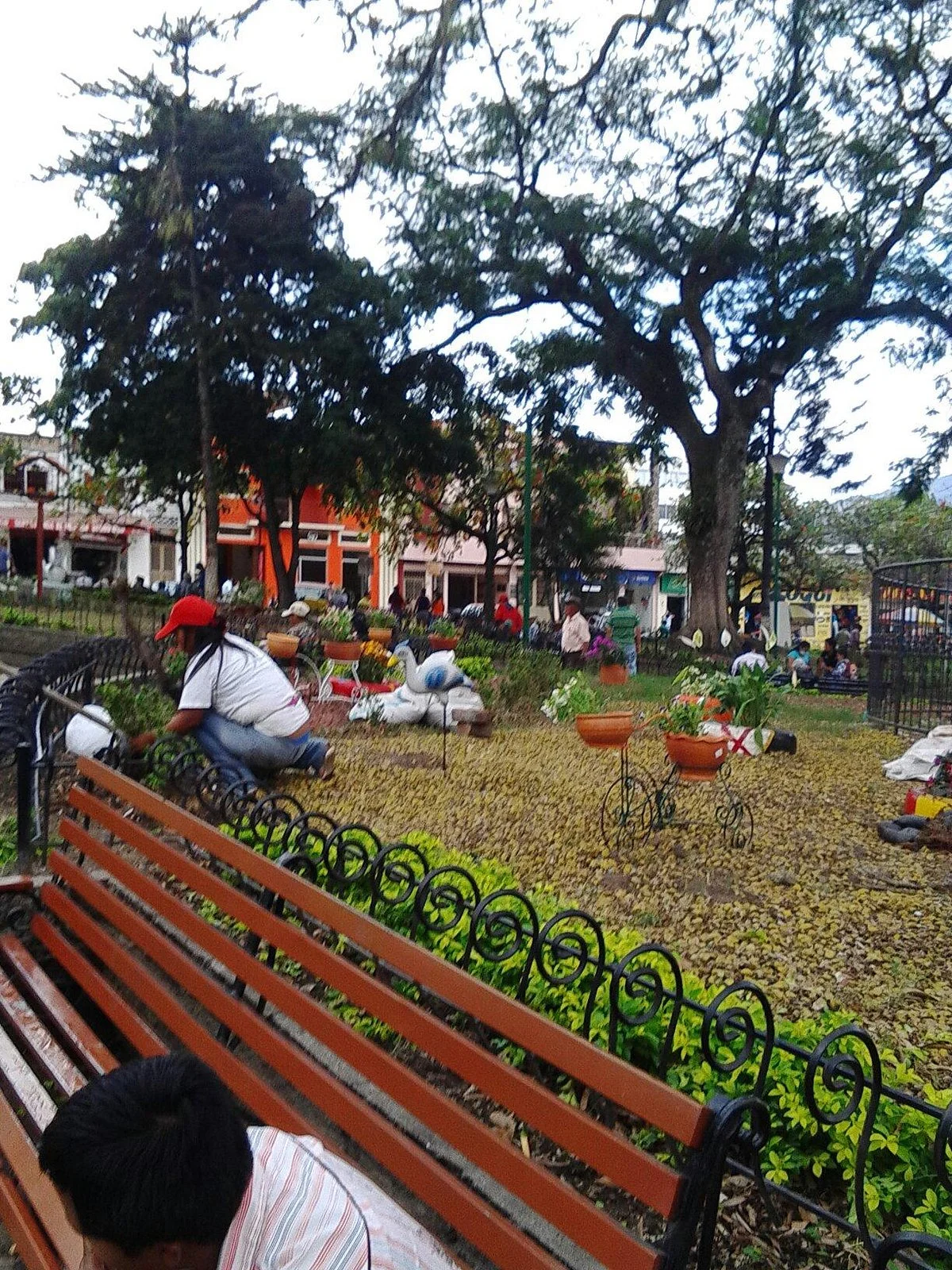 Plaza Garcia Rovira