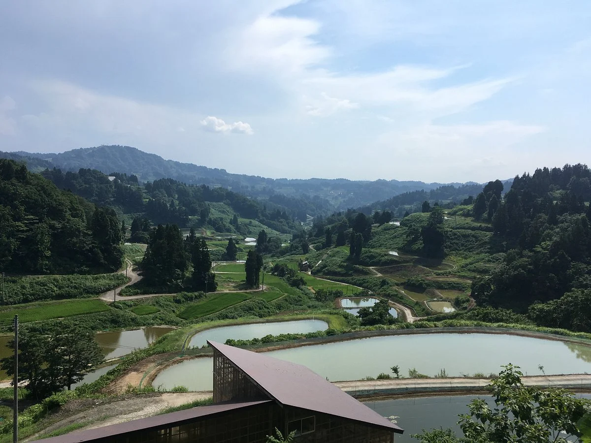 Yamakoshi Alpaca Farm