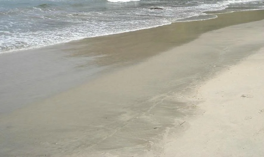 Praia Arambipe