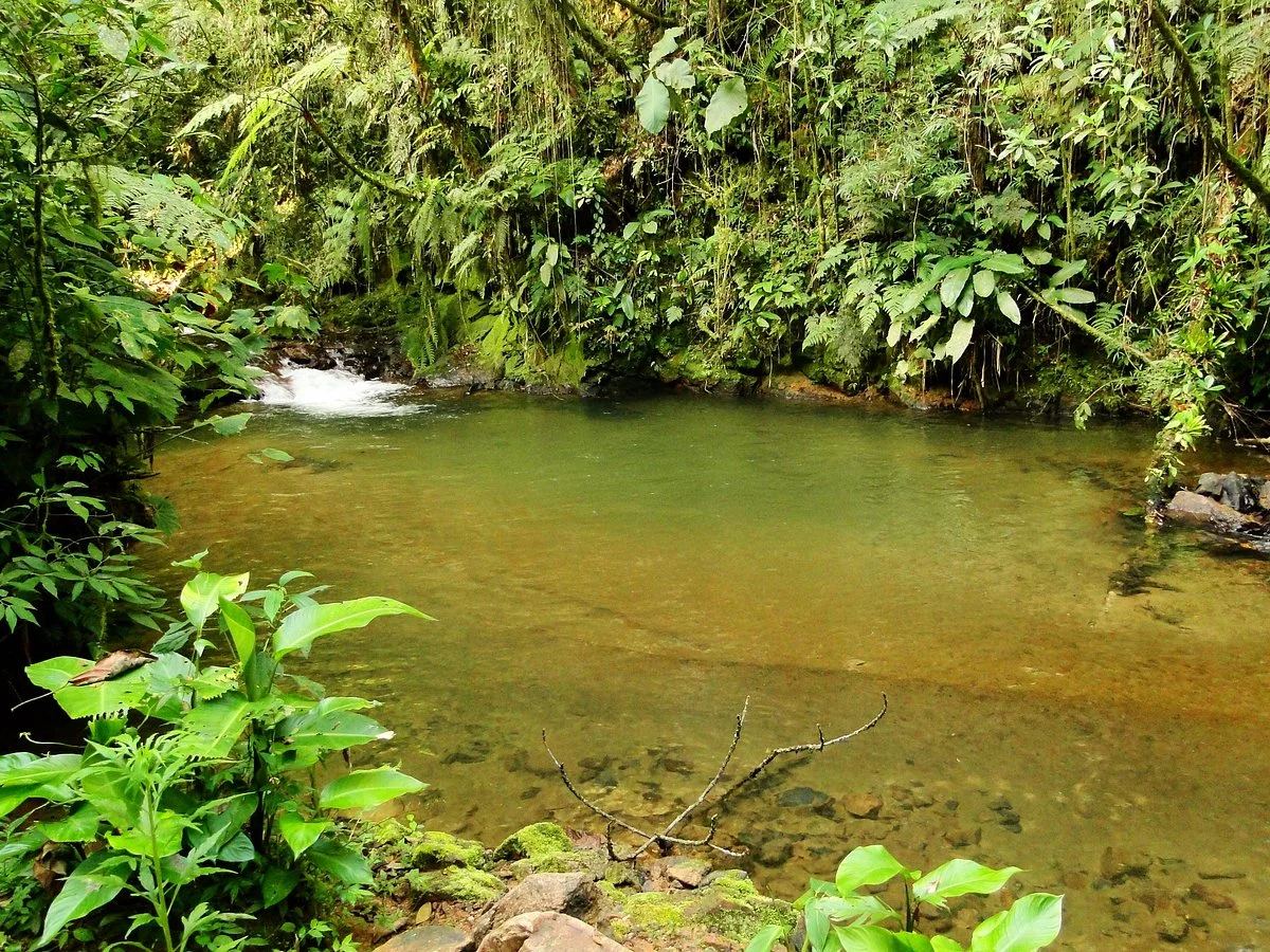 Serra Rio do Julio