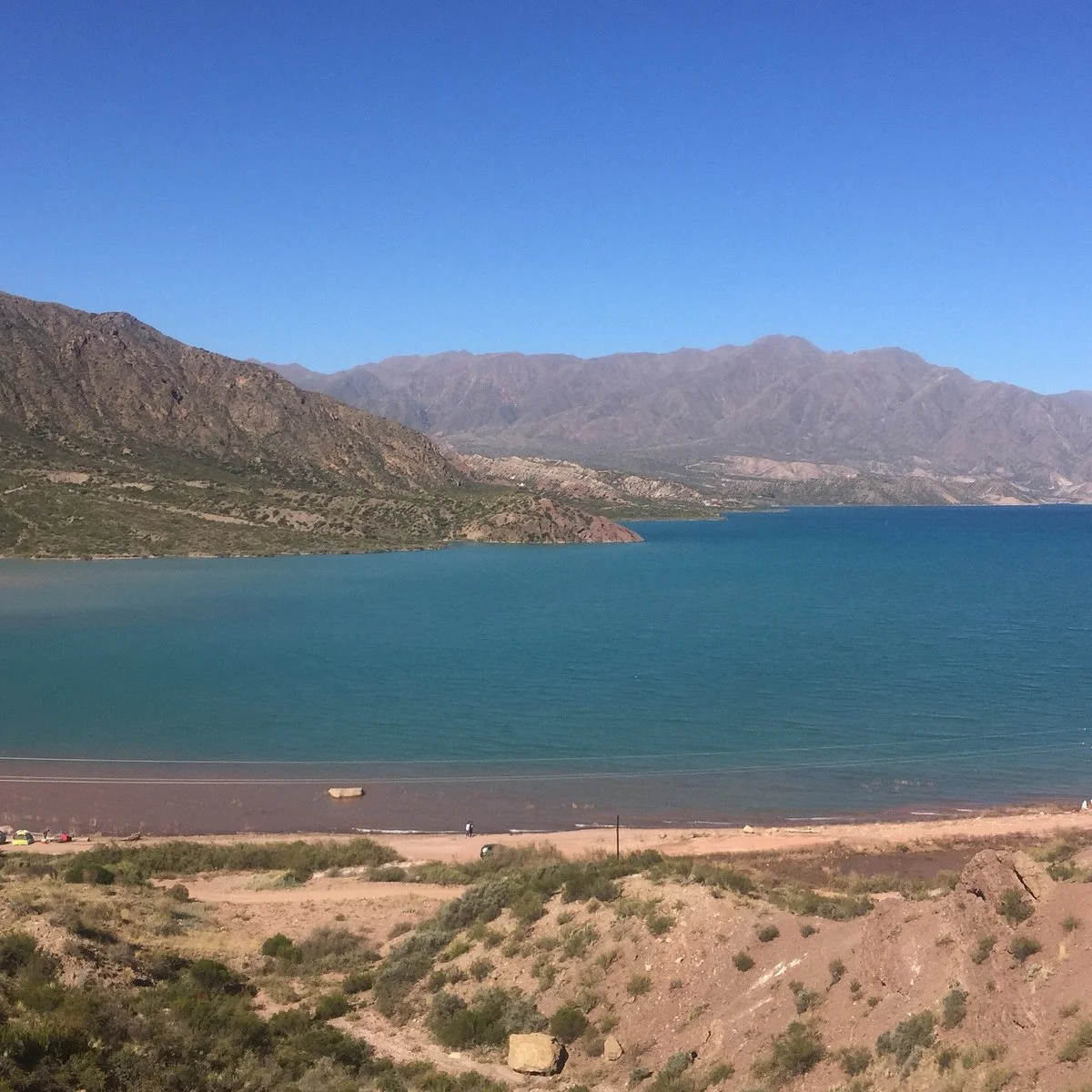 Silvestra