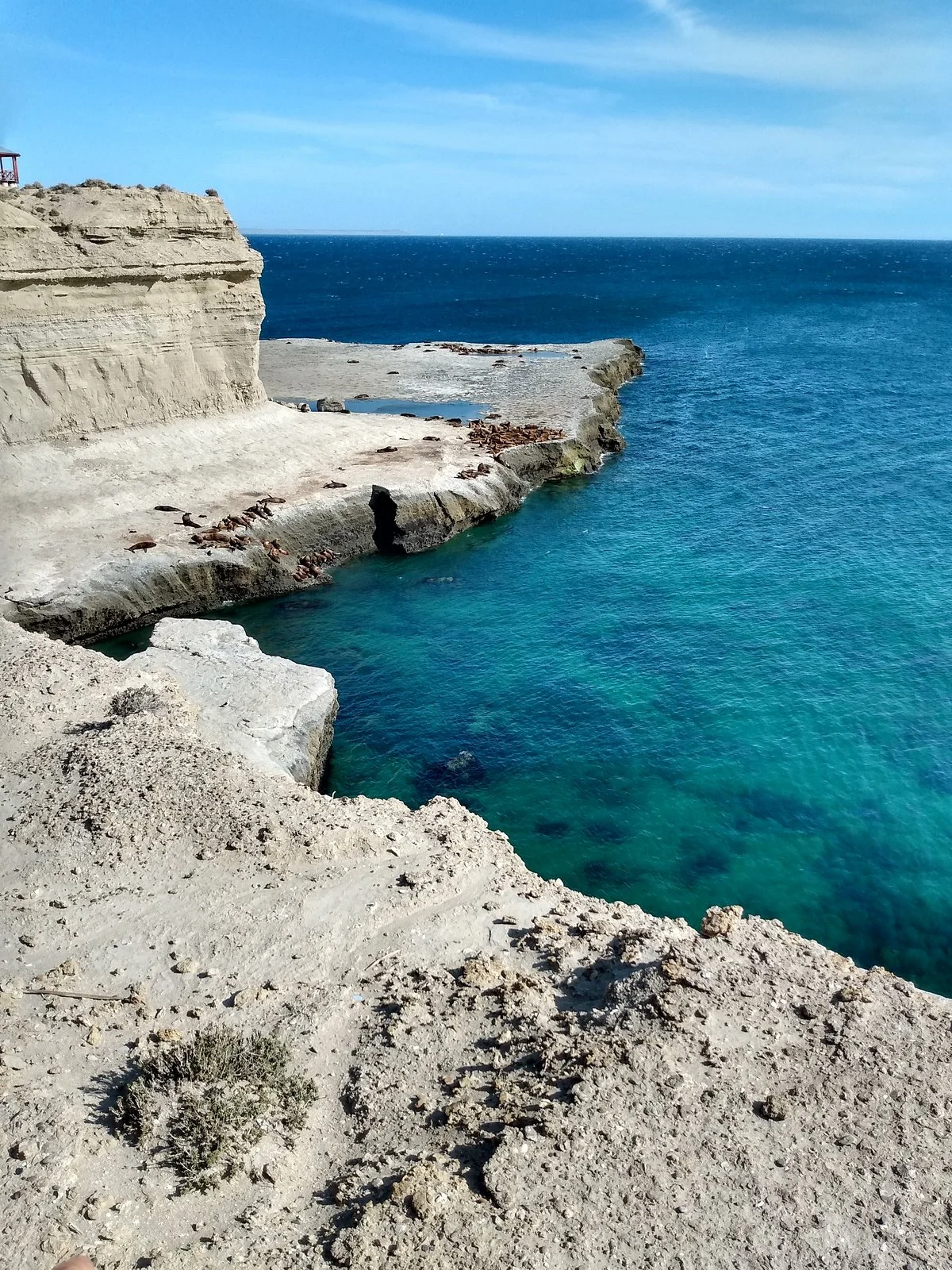 Mirador Loberia