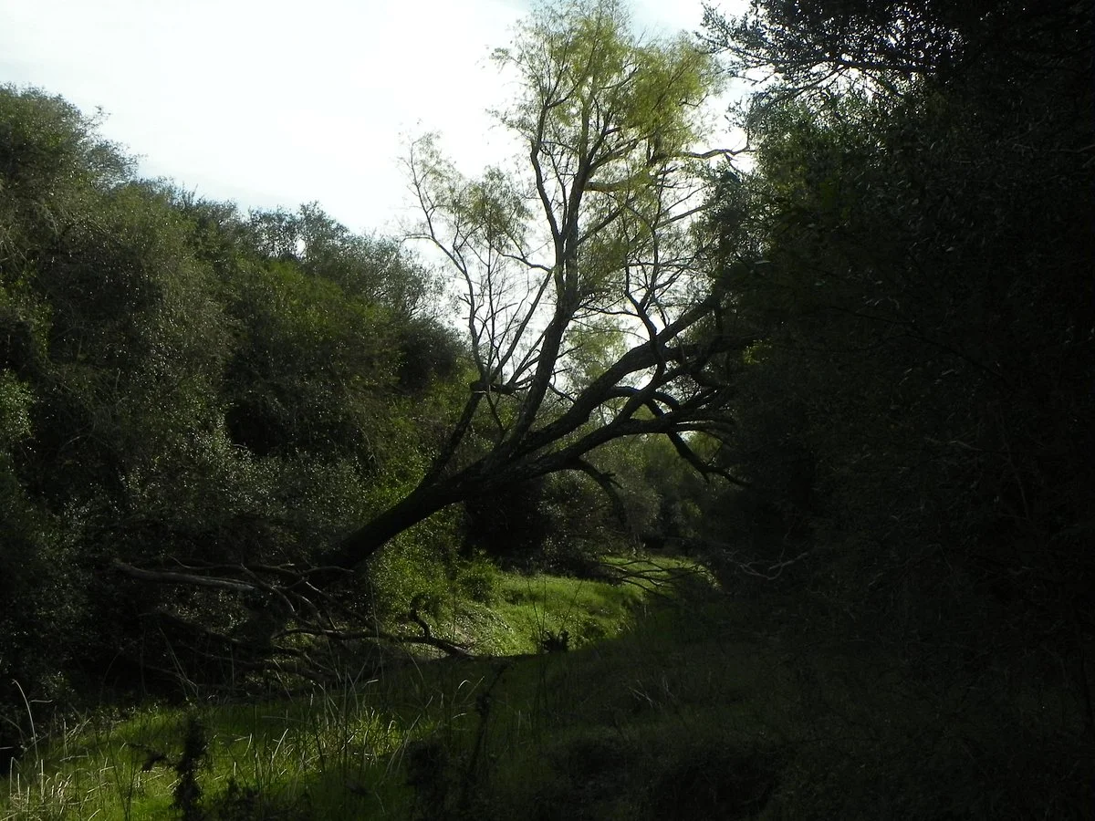 Area Natural Protegida Don Sebastian