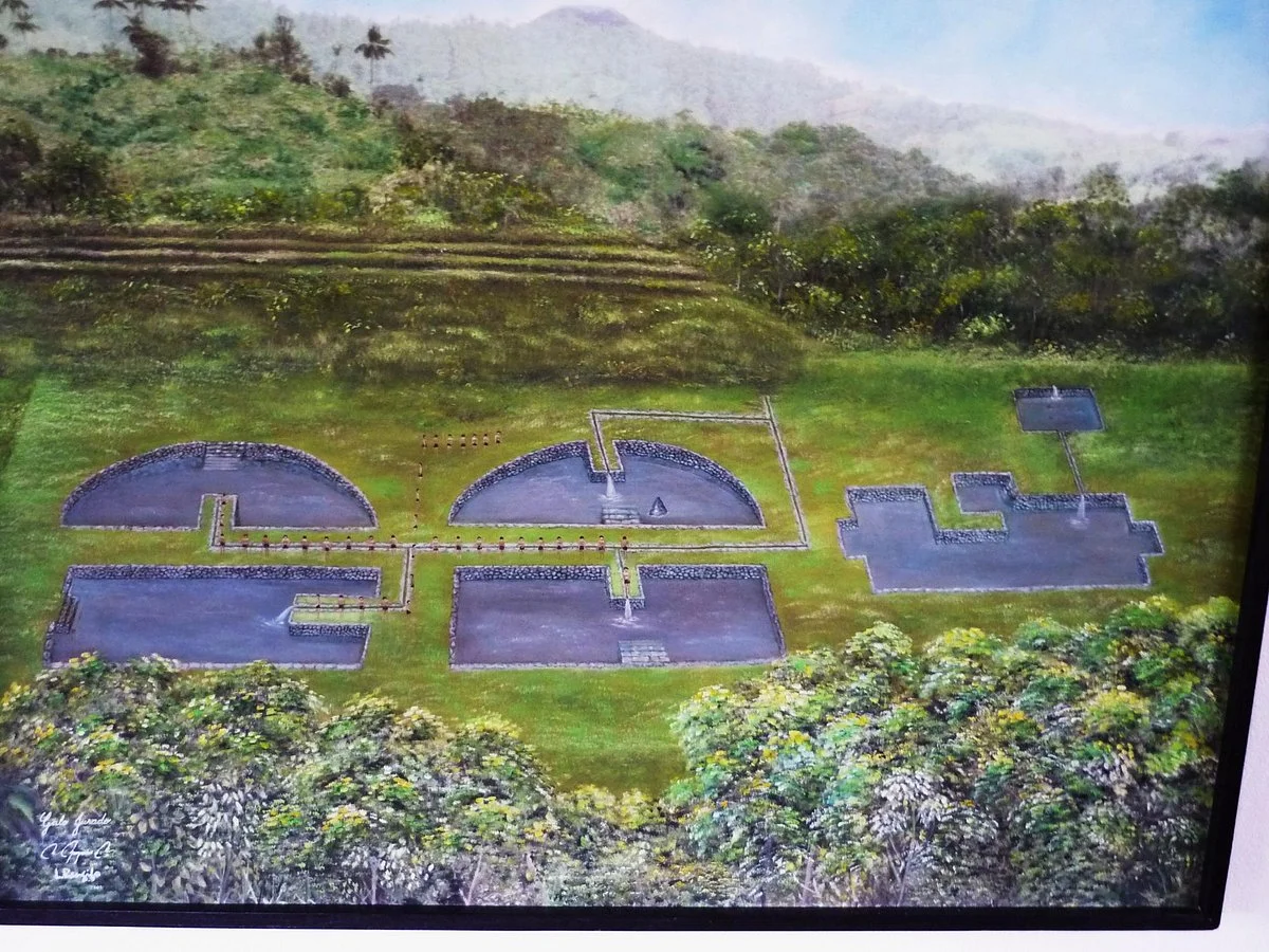 Museo de Sitio Tulipe