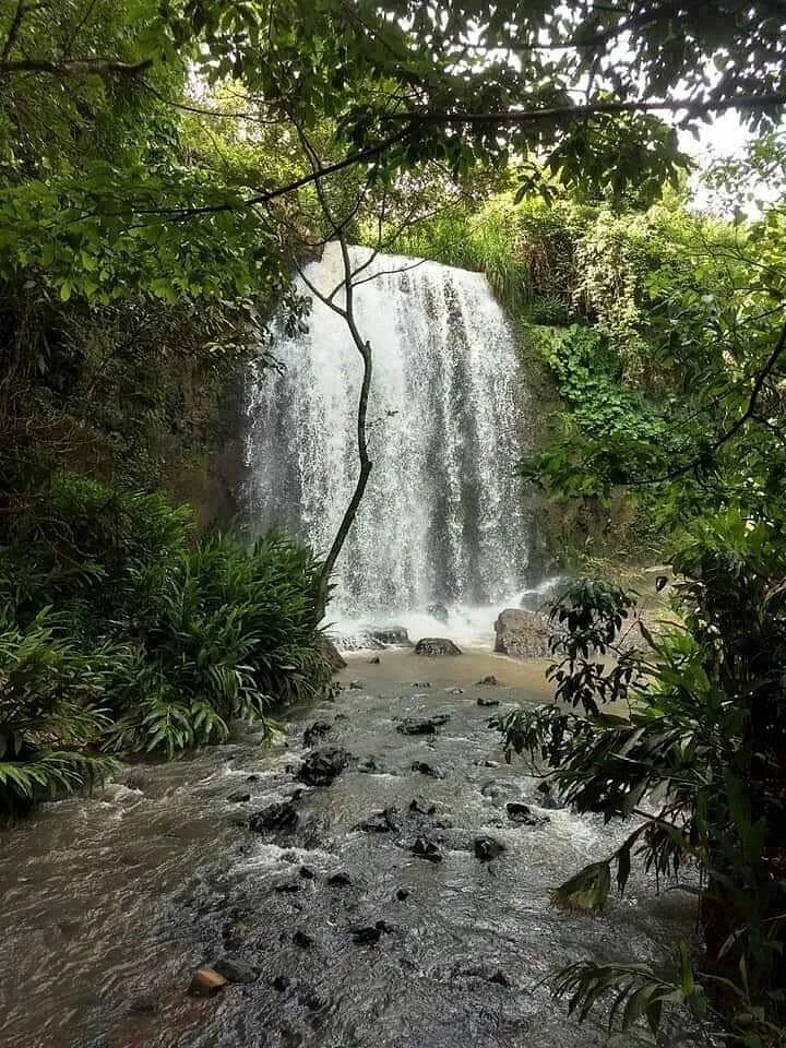 Fazenda Morro Azul