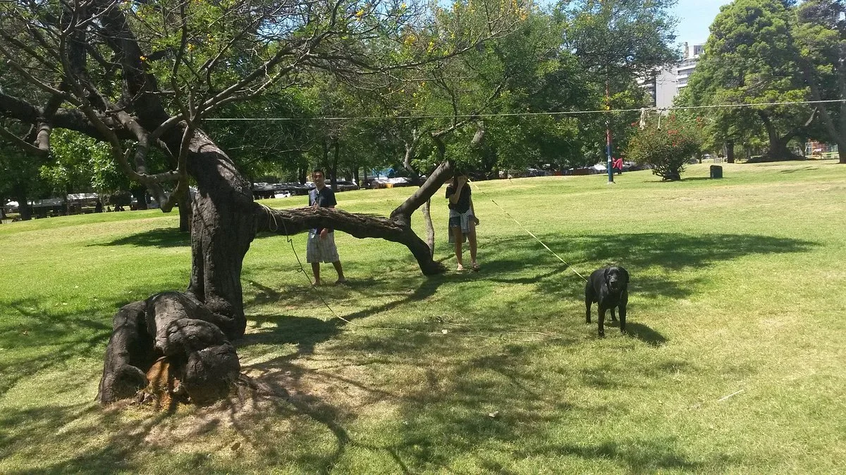 Parque de Villa Biarritz