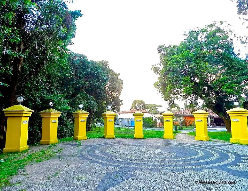 Bosque de Portugal