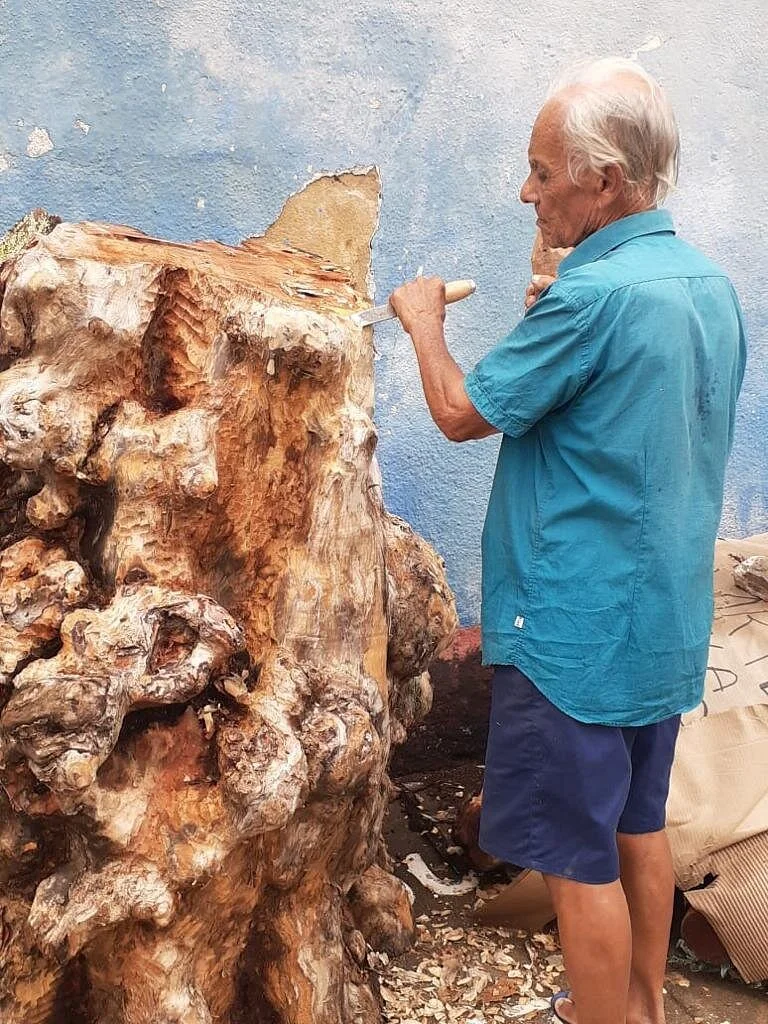 Miguel Ferreira Araujo Museum