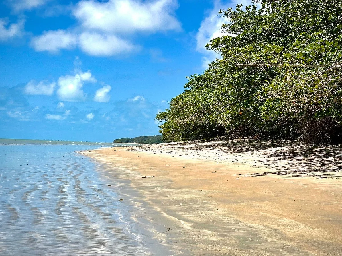 Pier Beach