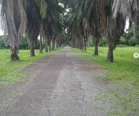 Fundacion Jardin Botanico Unellez