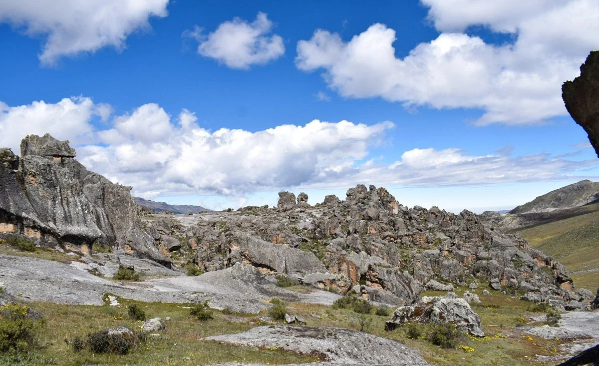 Hatun Machay Rock Forest