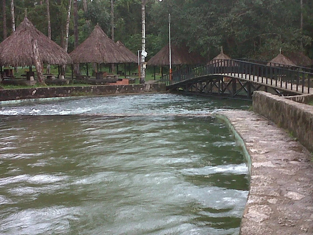 Tobogan de la Selva
