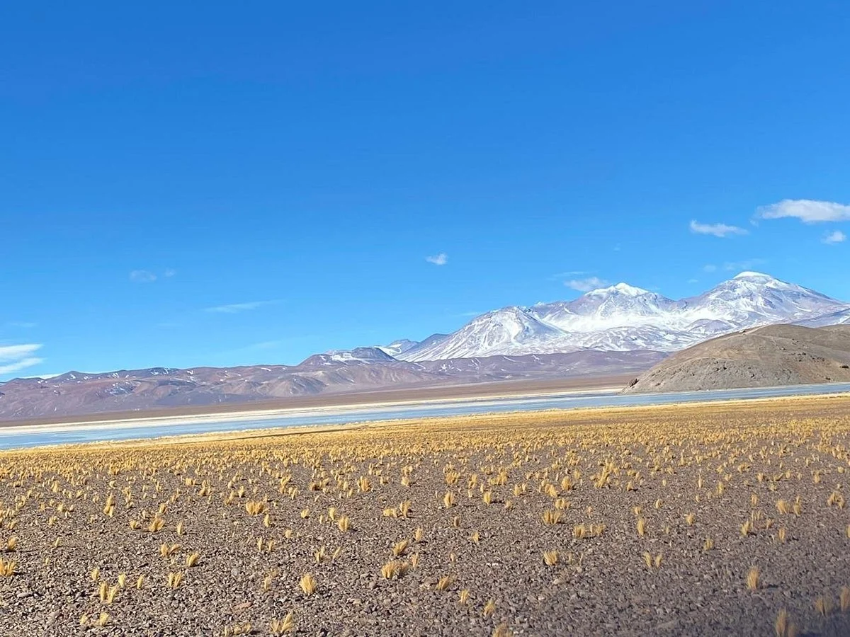 Laguna de Santa Rosa