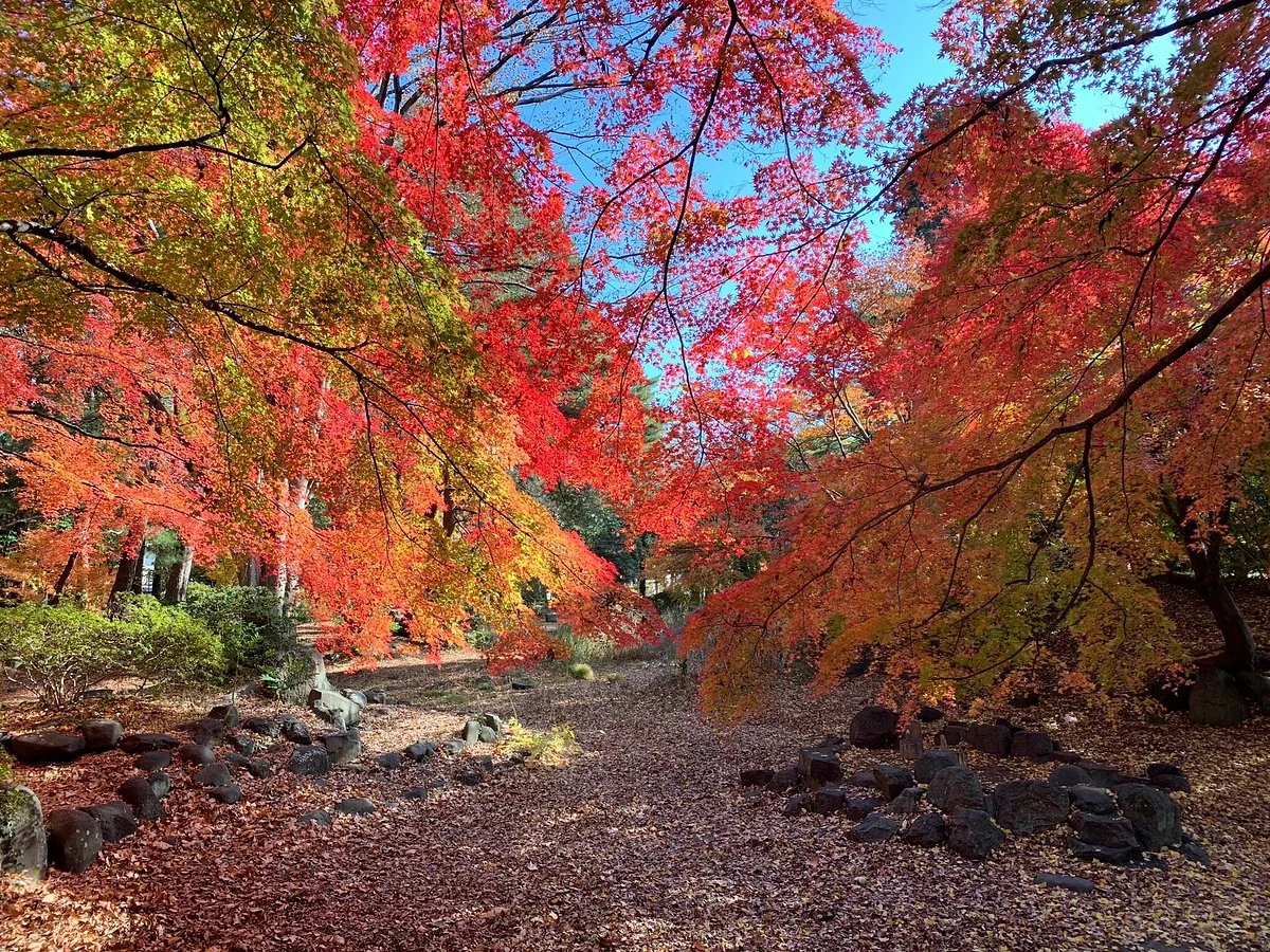 Nishi Park