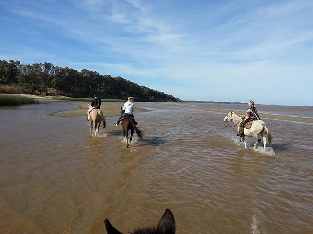 Cabalgatas en Uruguay - Riding Tours