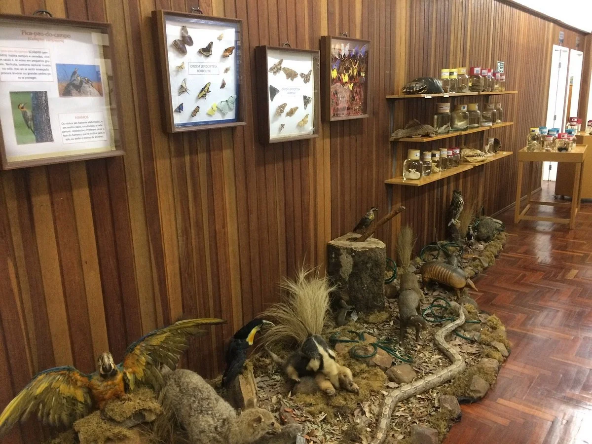 Alto do Uruguai Regional Science Museum
