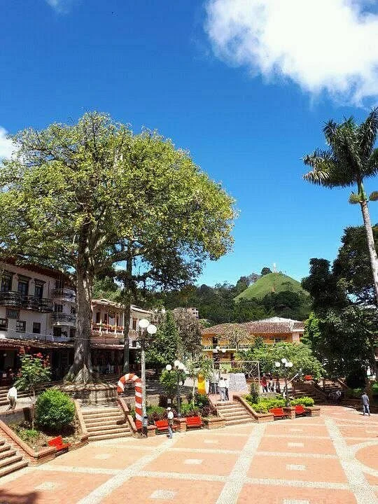 Cerro El Salvador