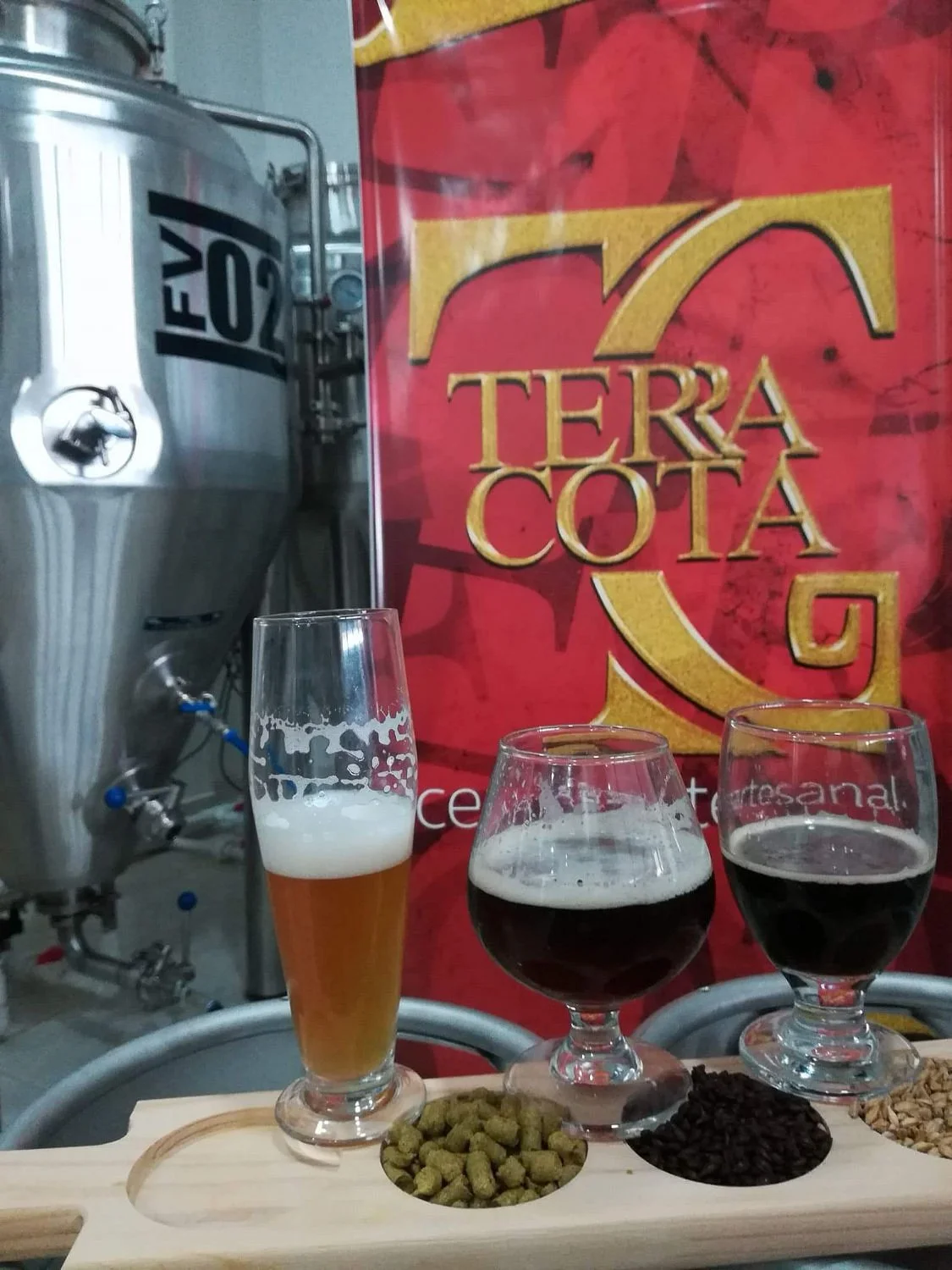 Cerveceria Artesanal Terracota