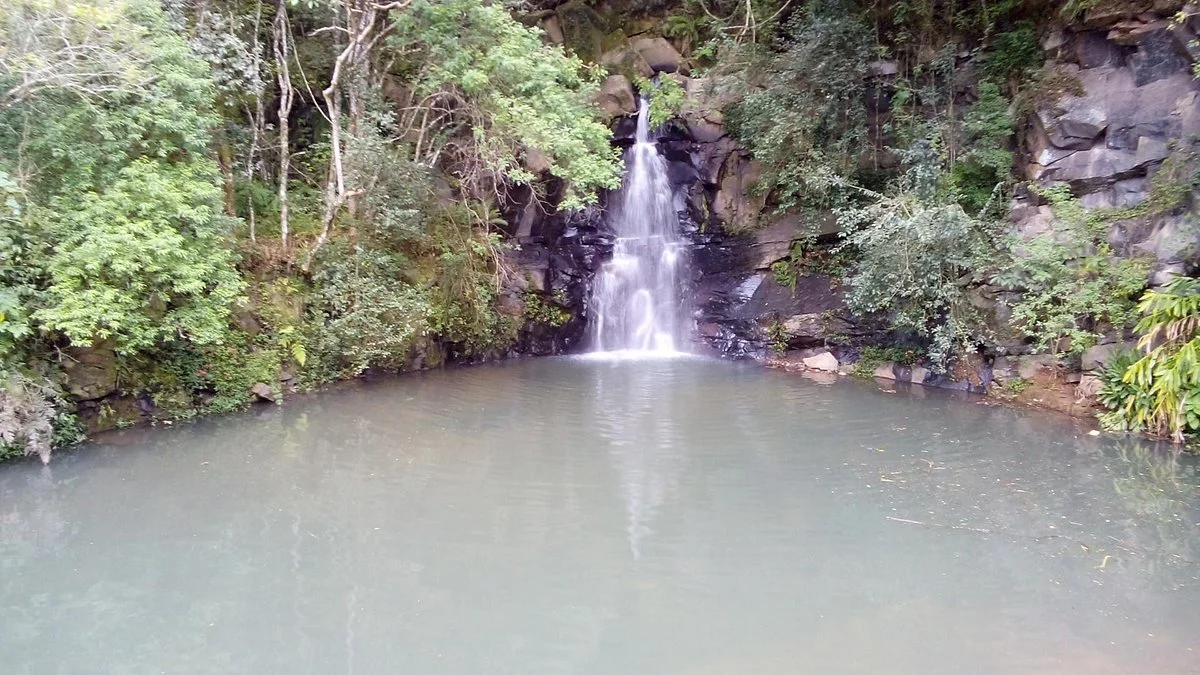 Parque Vista Alegre