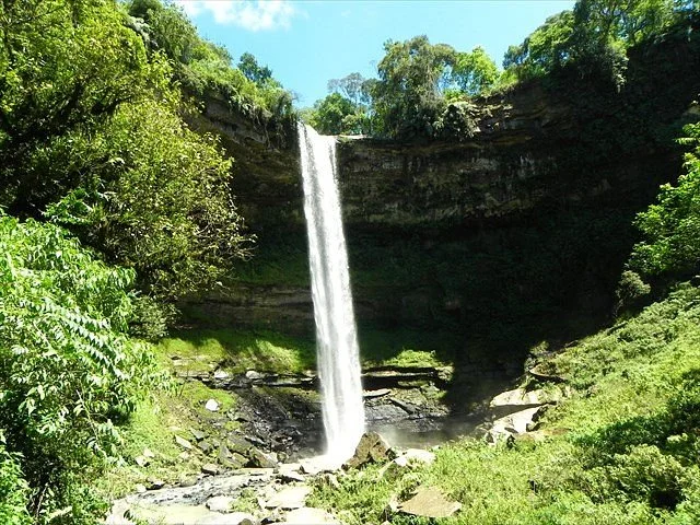 Parque Mata Atlântica