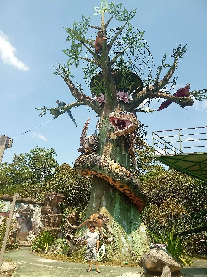 Parque Estadual Sumaúma