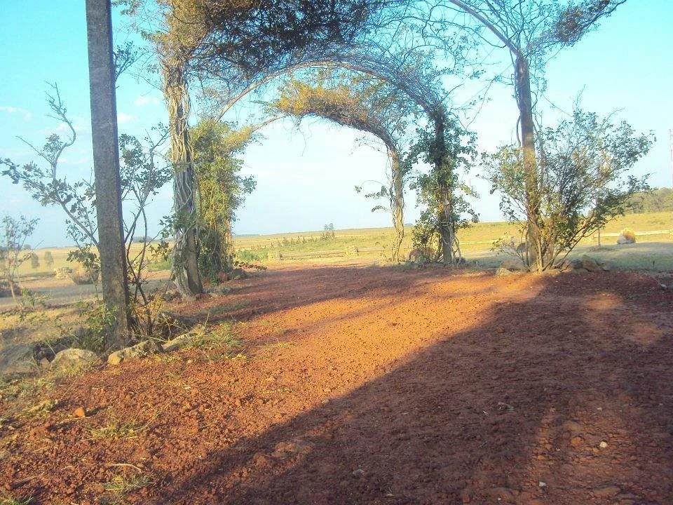 Grutas de Reyles