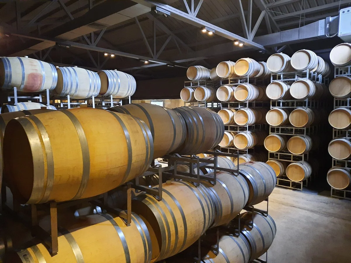 Bodega Atamisque