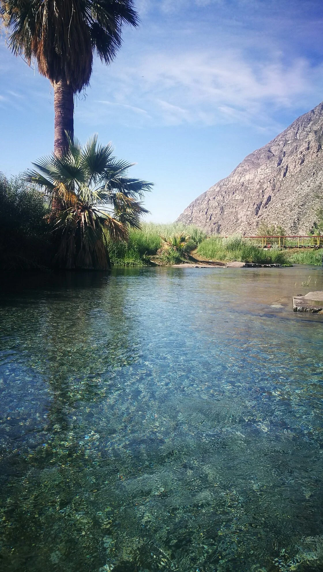 Camping Agua Negra