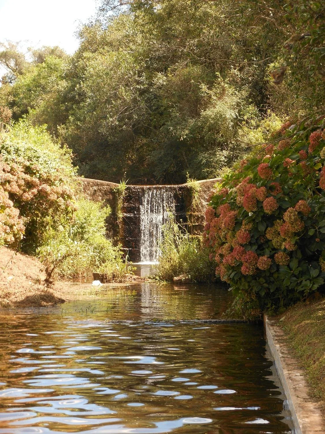 Parque Aquático Municipal