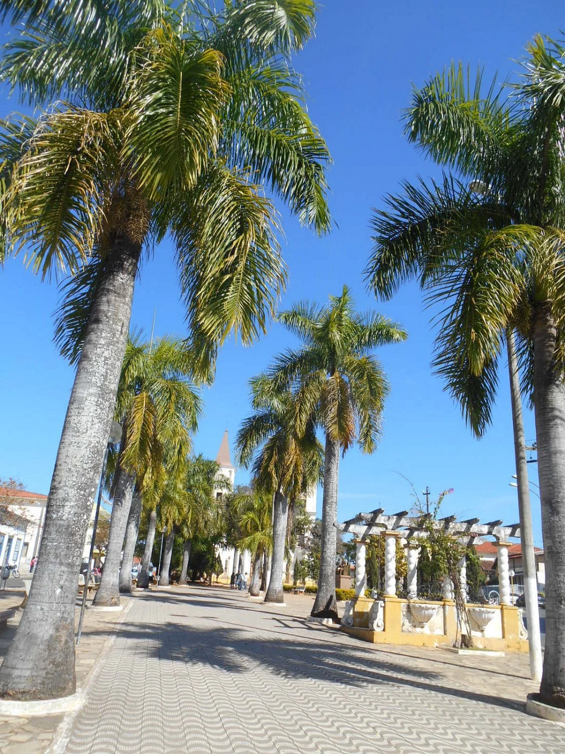 Praca Dom Ferrao