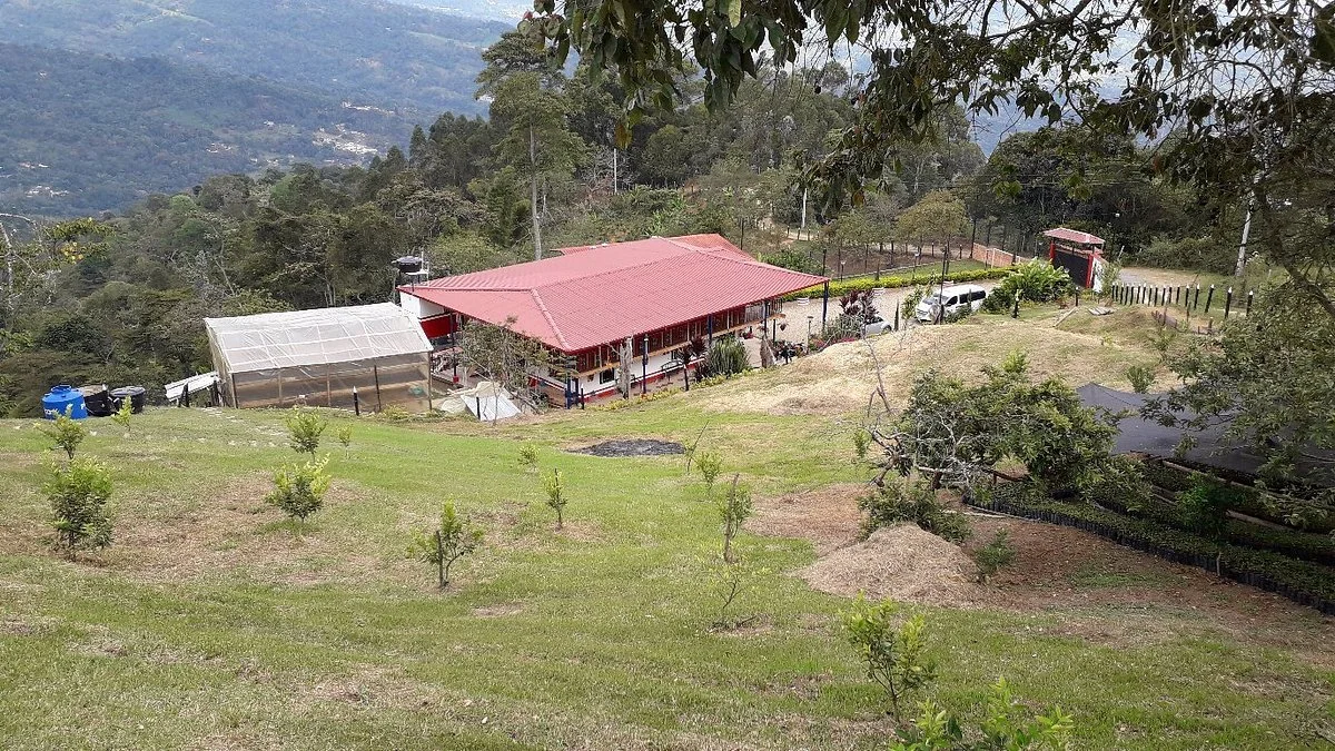 Cafe Jaguar
