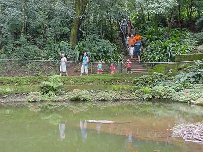 Parque do Jacaranda
