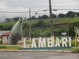 Dr. Americo Werneck Museum