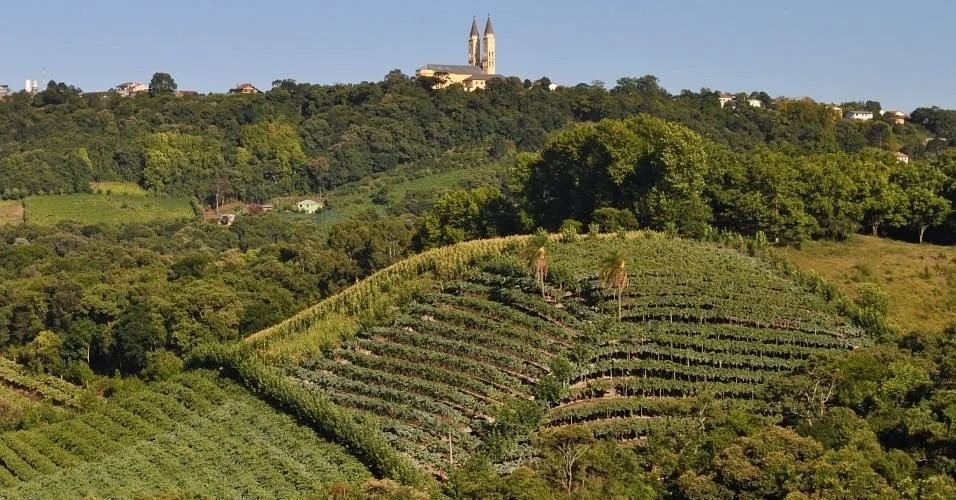 Vinhos Fae