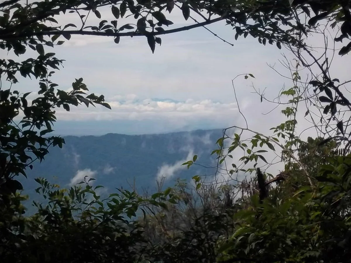 Sendero Bosque del Cielo