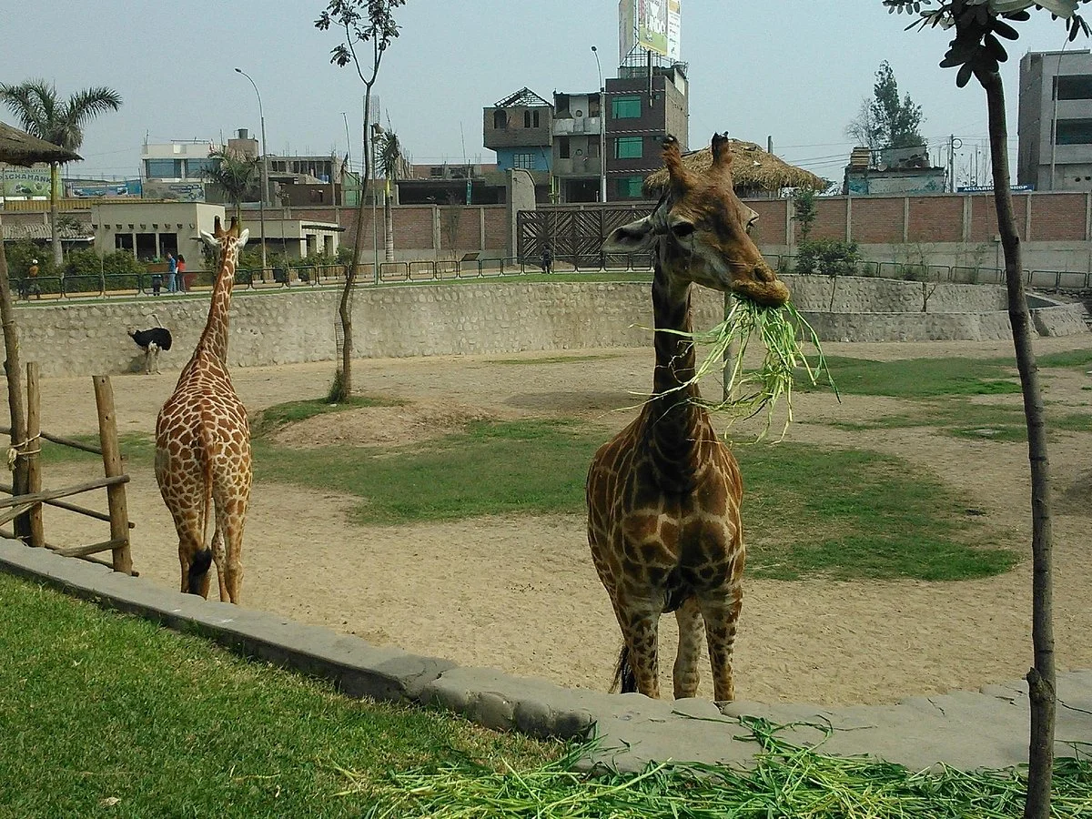 Parque Zoologico Huachipa