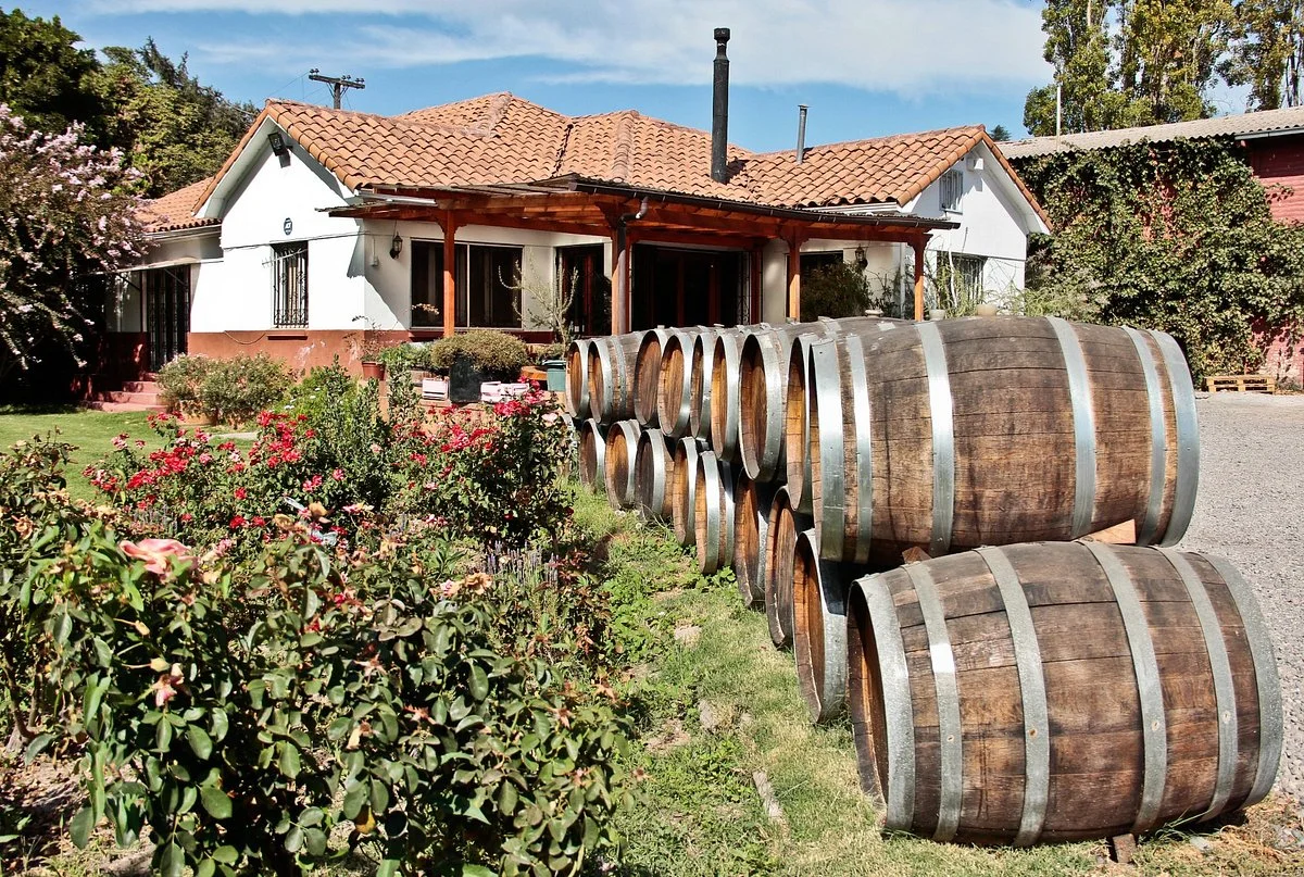 Portal del Alto Vineyard