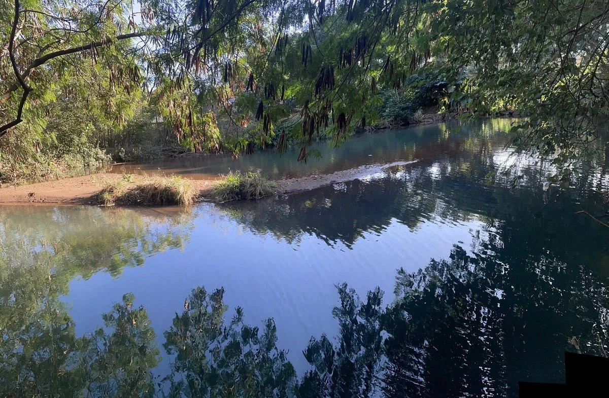 Parque Tarquinio
