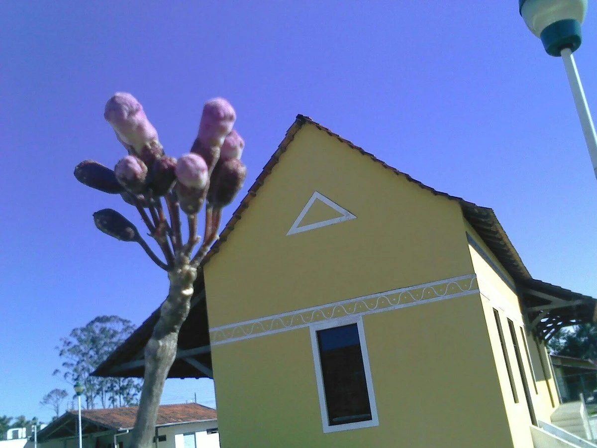 Itajai EthnoArchaeology Museum