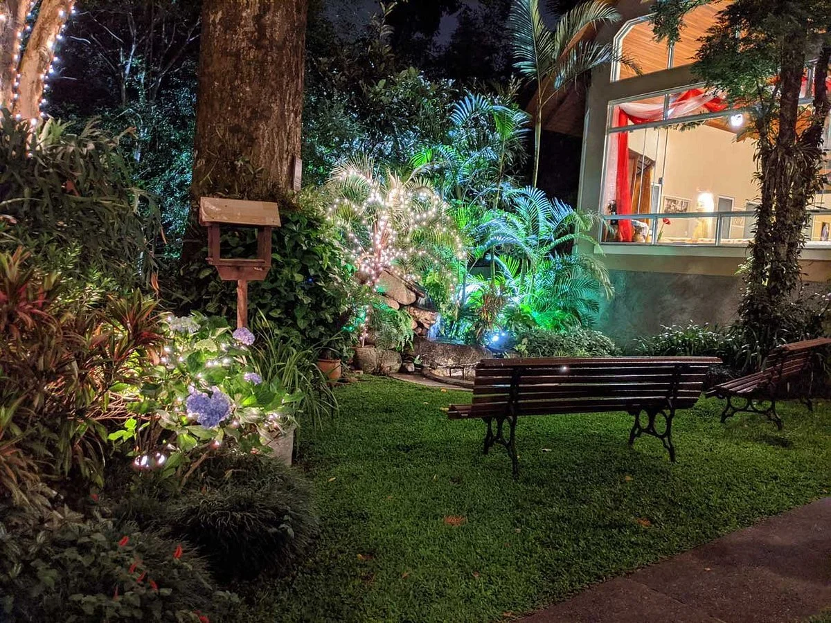 Bosque de Jesus
